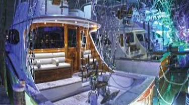 Megan Female Stripper NYC Deep Sea Fishing Montauk Yacht Party